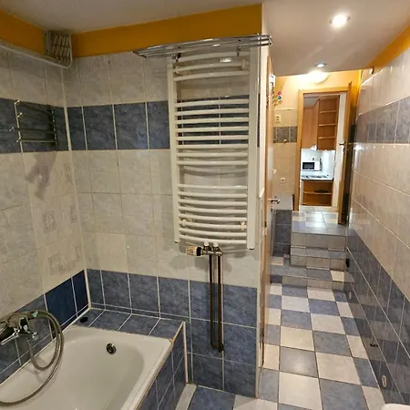 Stejskalova Apartment Brünn