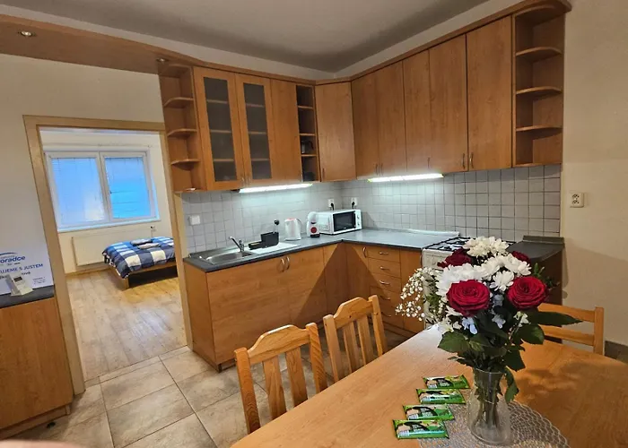 Stejskalova Brno
